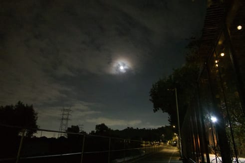 DSC00397