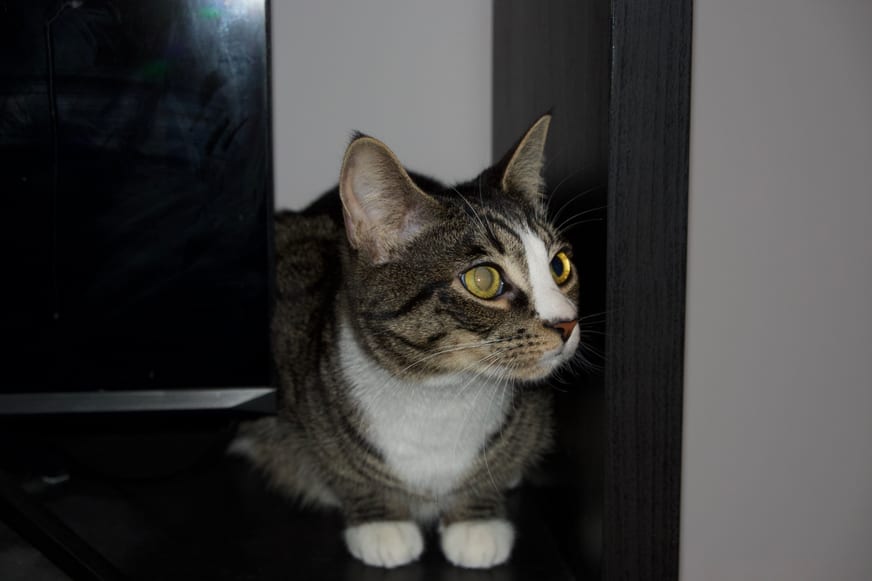 DSC00169