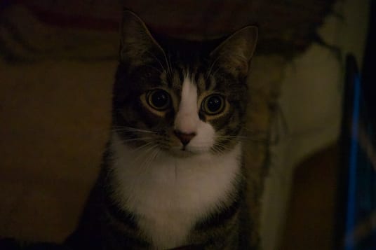 DSC00173