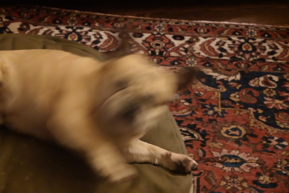 DSC00024.JPG