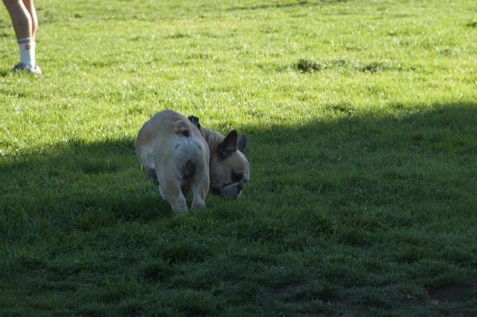 DSC00518