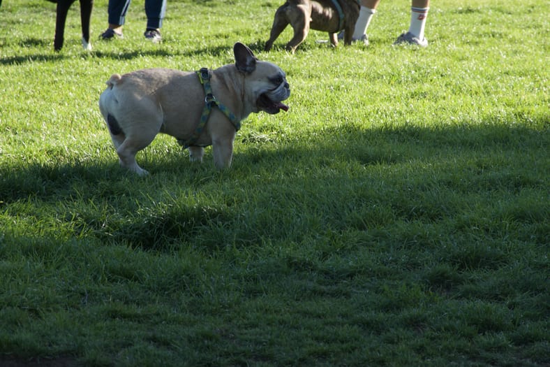 DSC00521