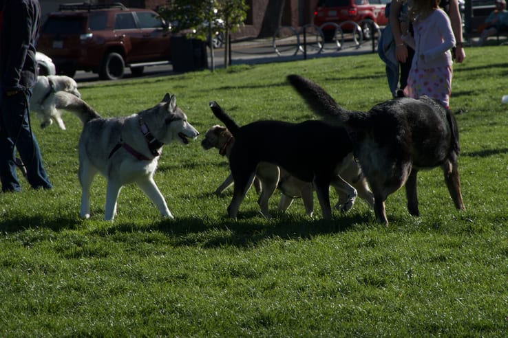 DSC00506
