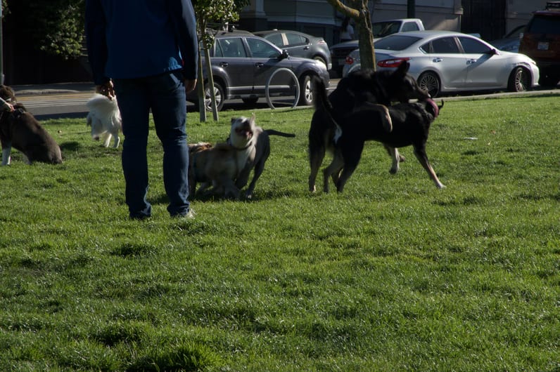 DSC00509